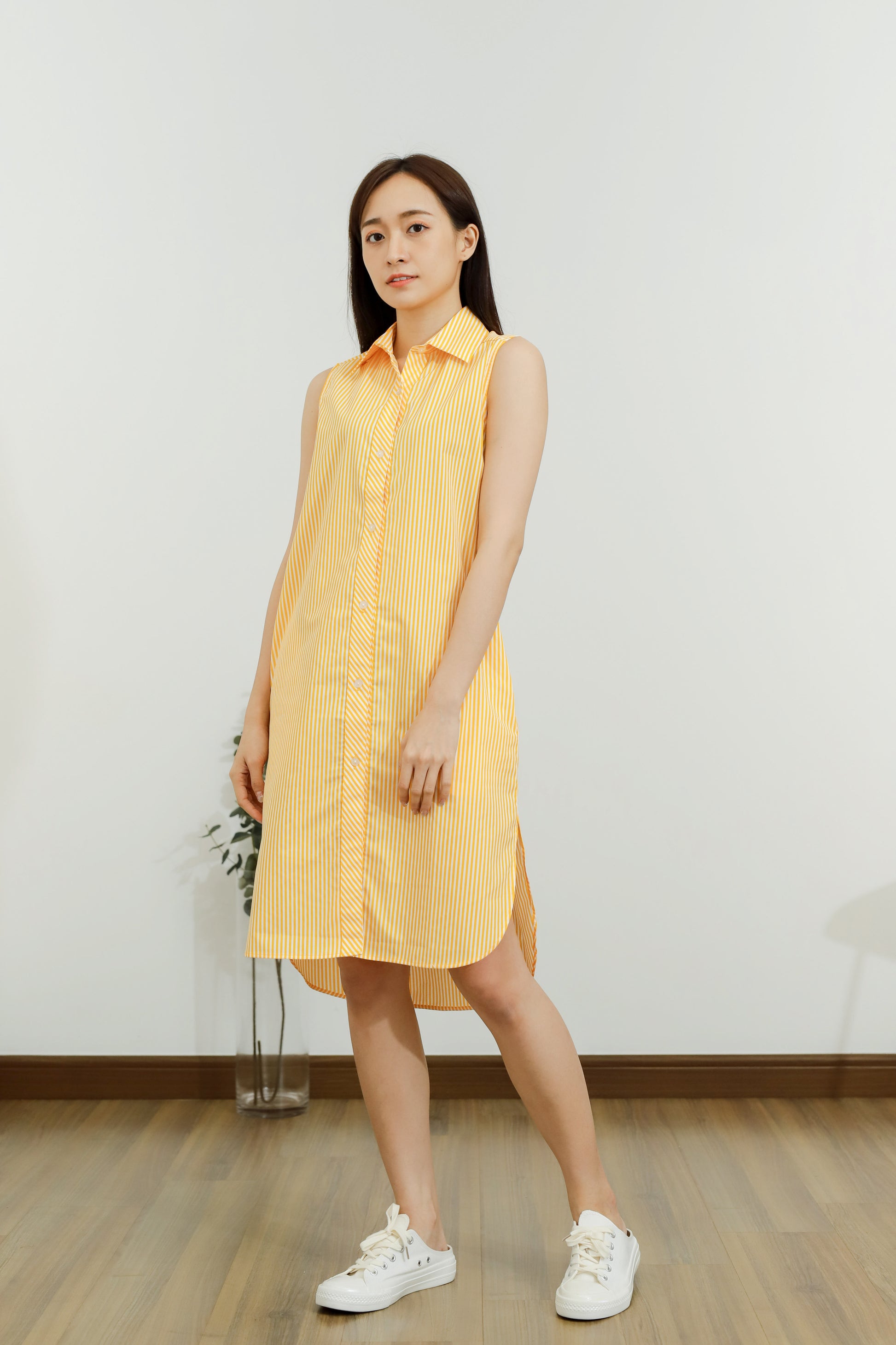 Emma Stripe Shirt Dress