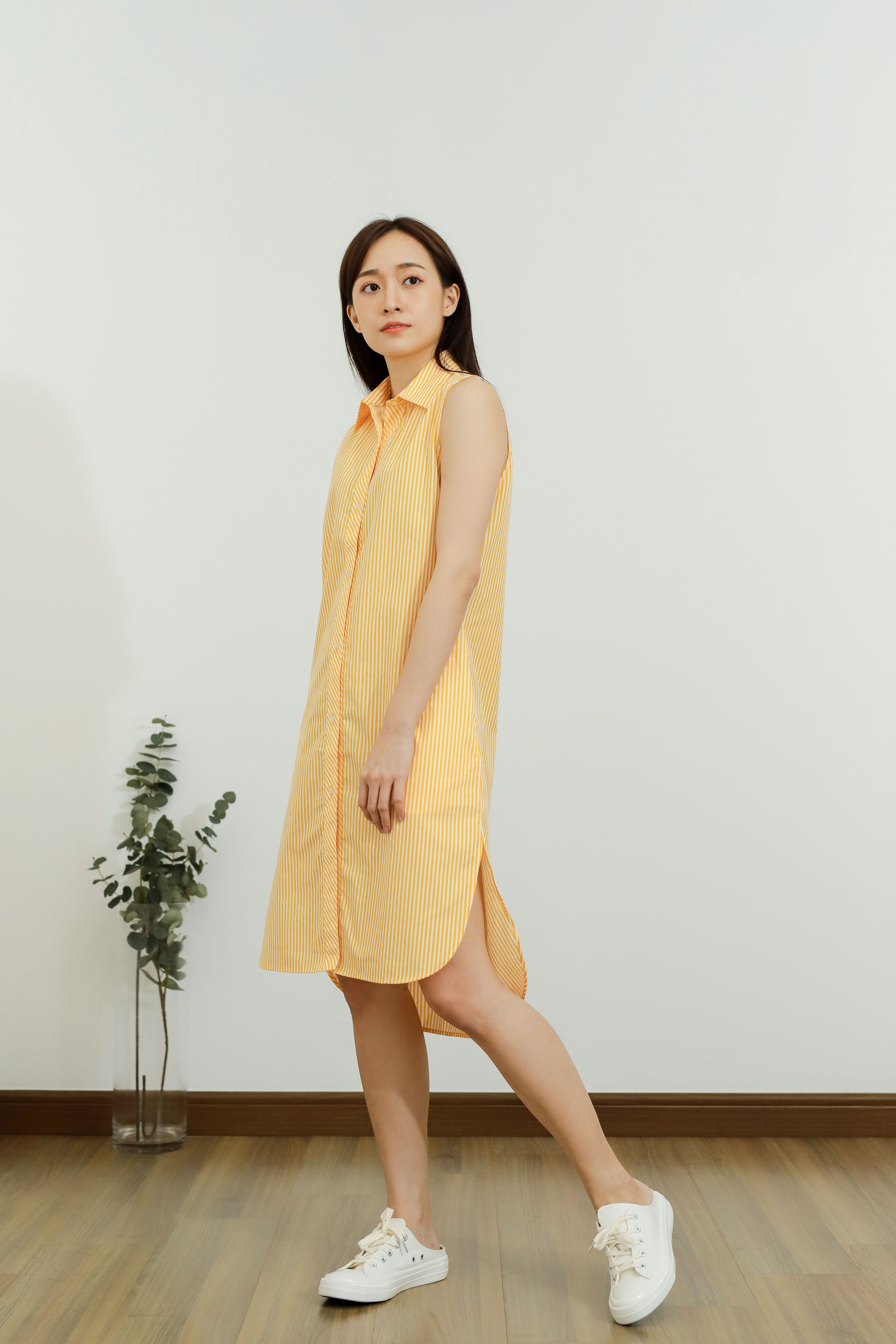 Emma Stripe Shirt Dress