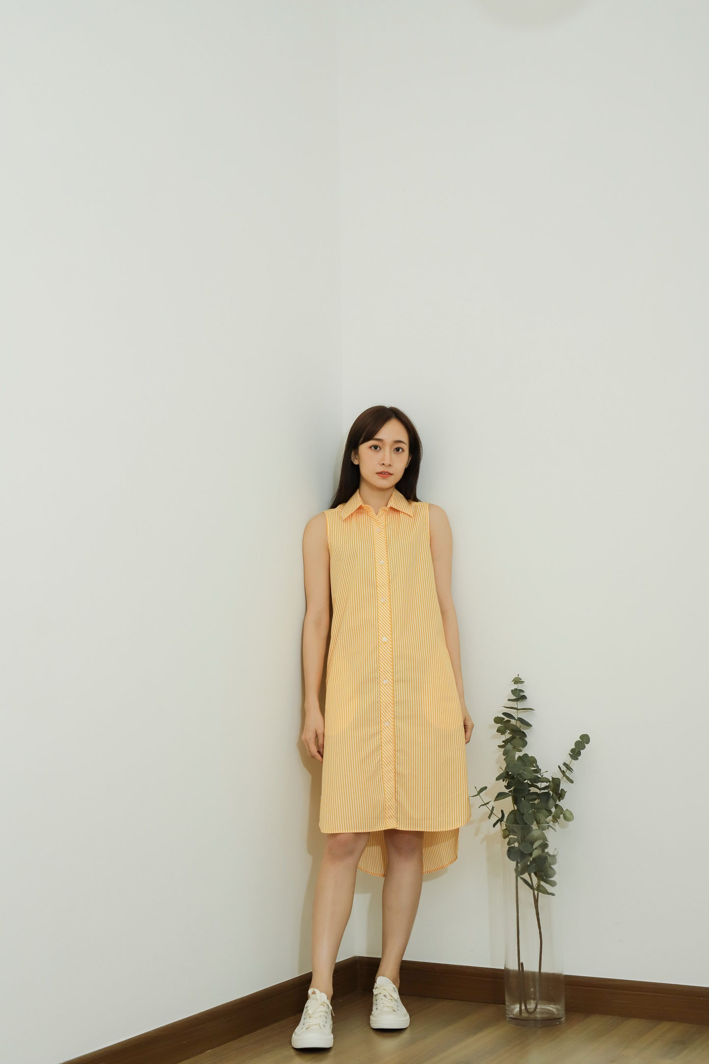 Emma Stripe Shirt Dress