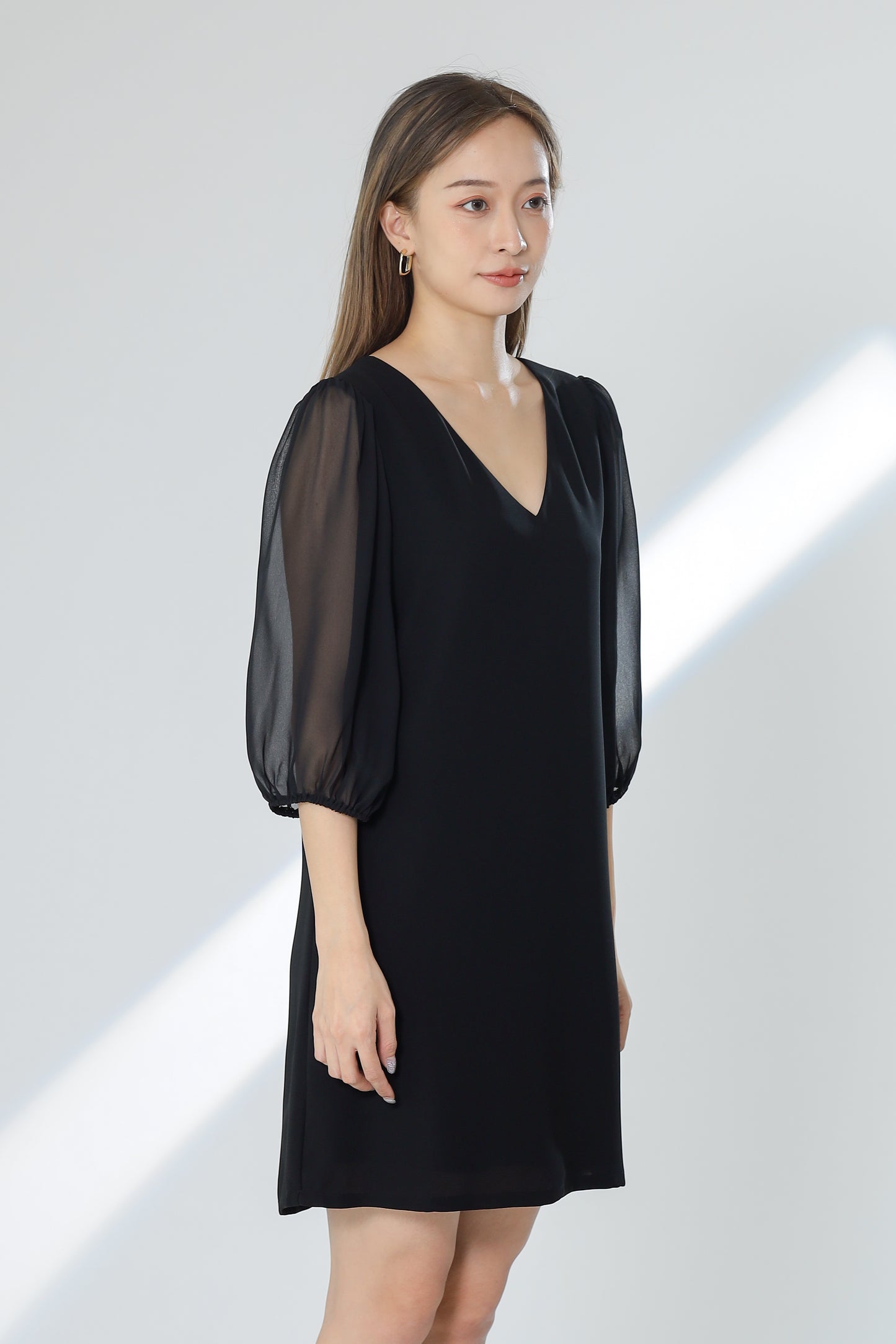 Kathryn Puff Sleeve Chiffon Dress