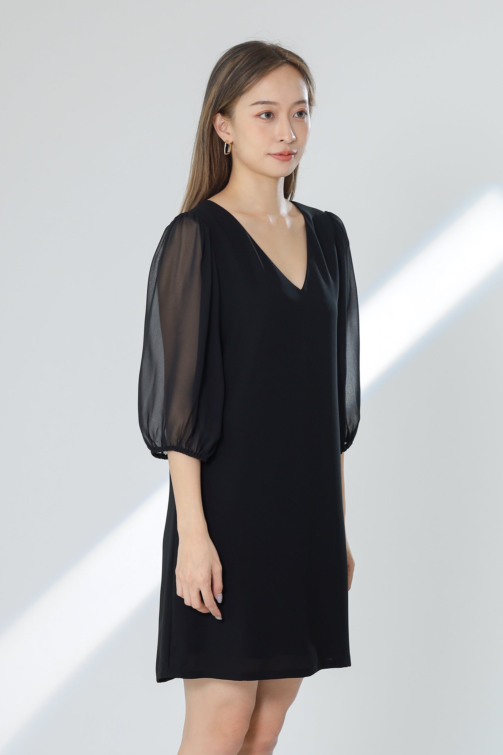 Kathryn Puff Sleeve Chiffon Dress