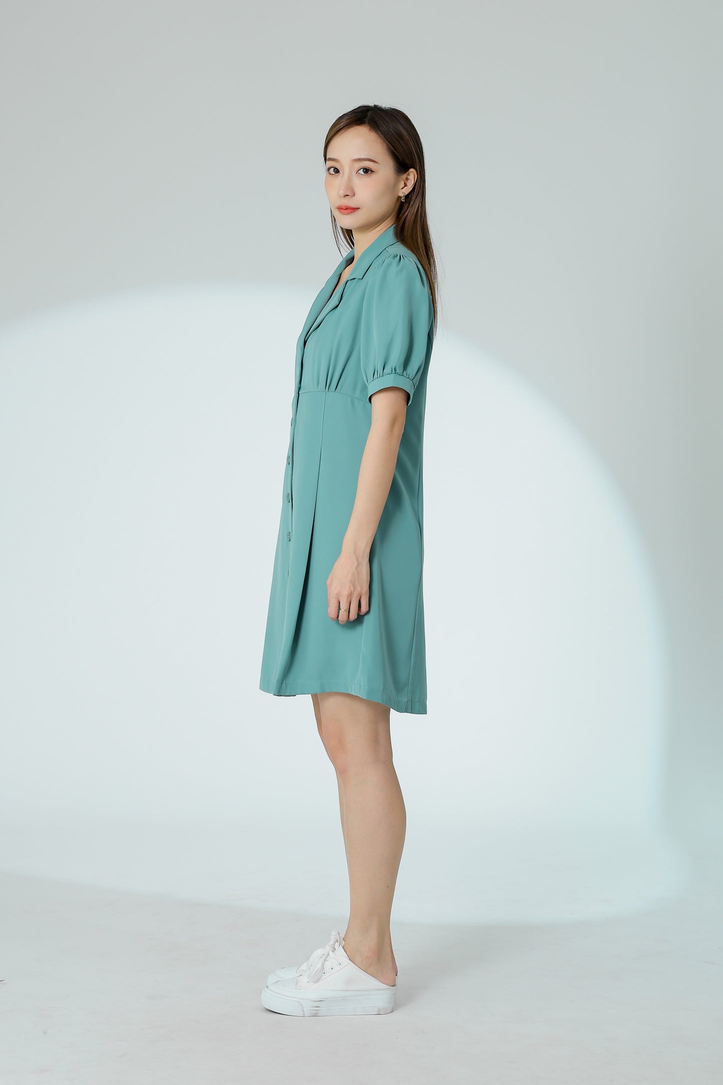 Odina Notched Lapel Dress - Sage