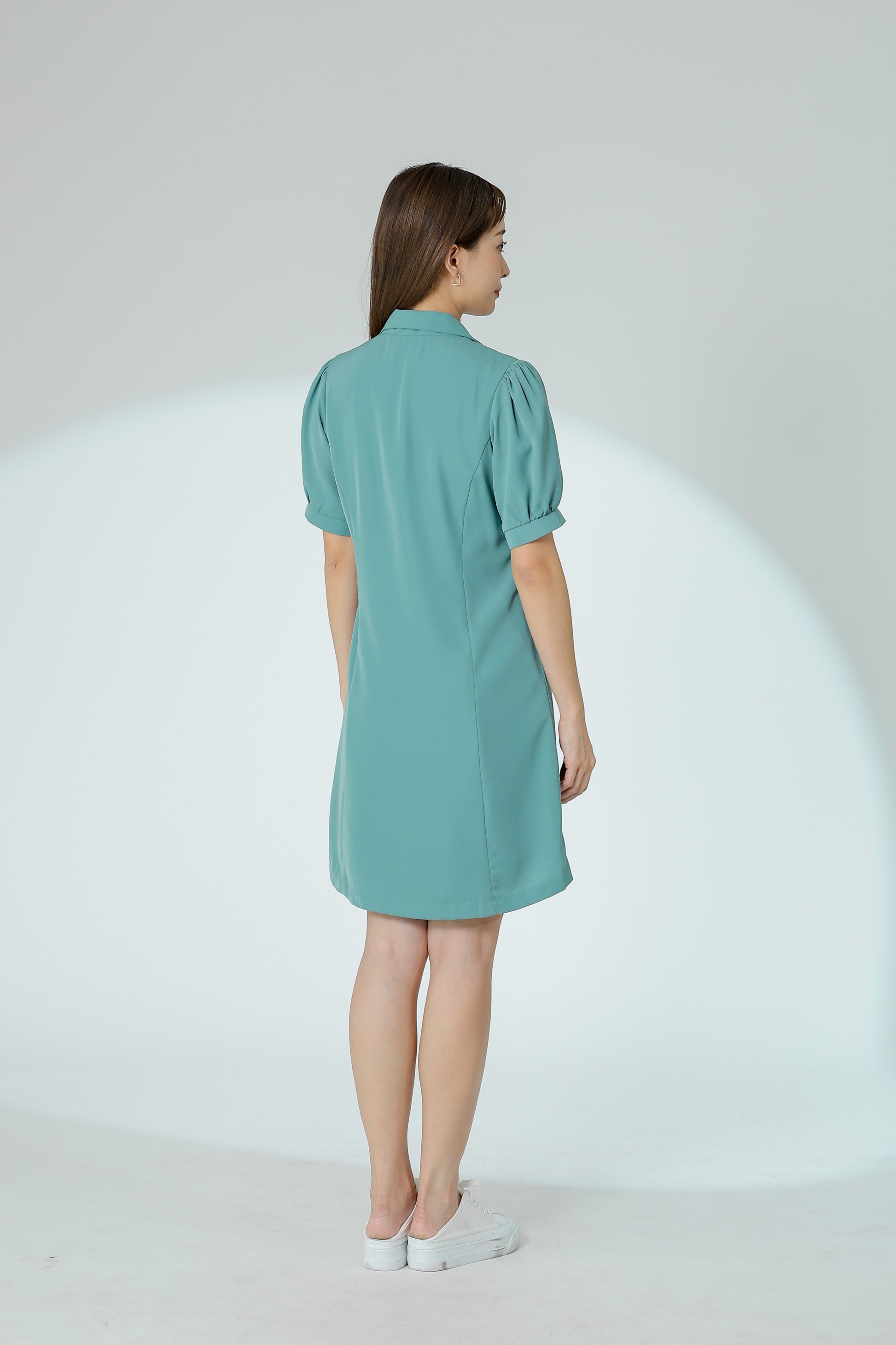 Odina Notched Lapel Dress - Sage