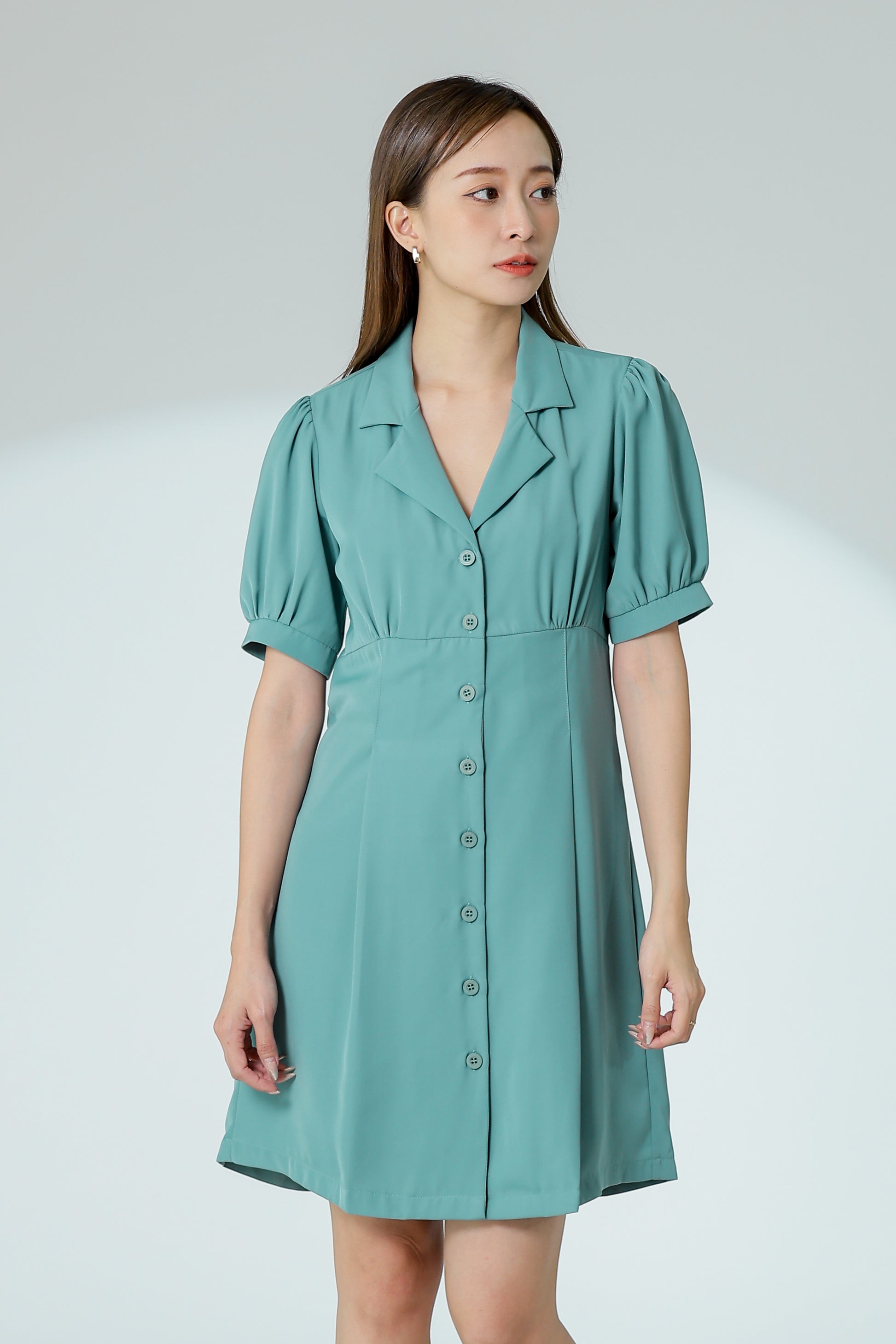 Odina Notched Lapel Dress - Sage